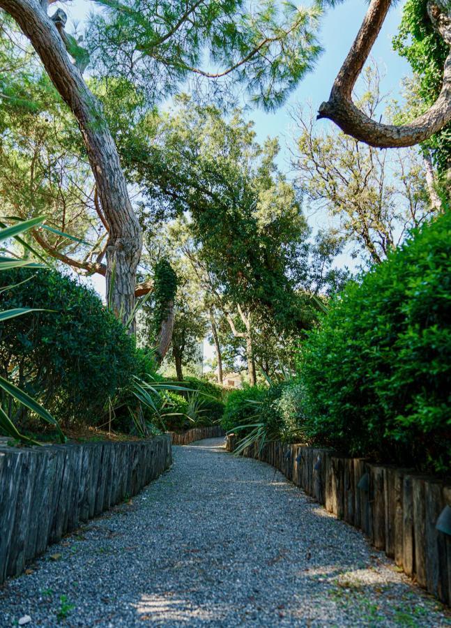 Appartamenti & Villa Il Delfinetto San Vincenzo Zewnętrze zdjęcie
